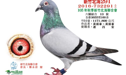 蚁参蠲痹胶囊拼音网 - 网站提供蚁参蠲痹胶囊是什么颜色的胶囊小常识、蚁参蠲痹胶囊的价格